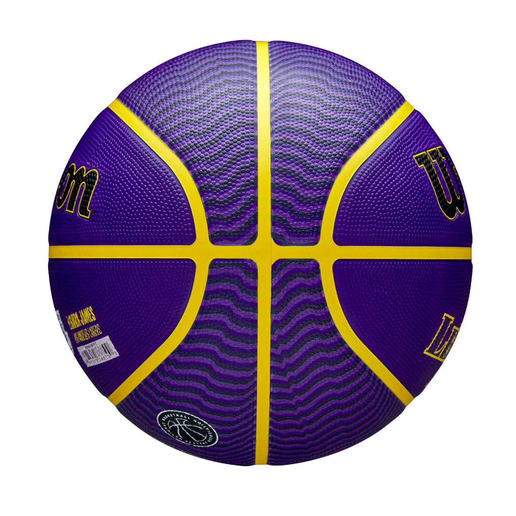 NBA Player Icon Outdoor Basket Lebron New