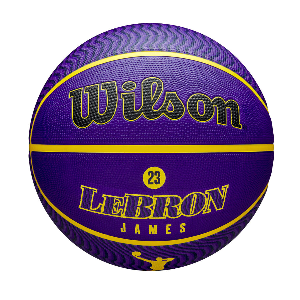 NBA Player Icon Outdoor Basket Lebron New