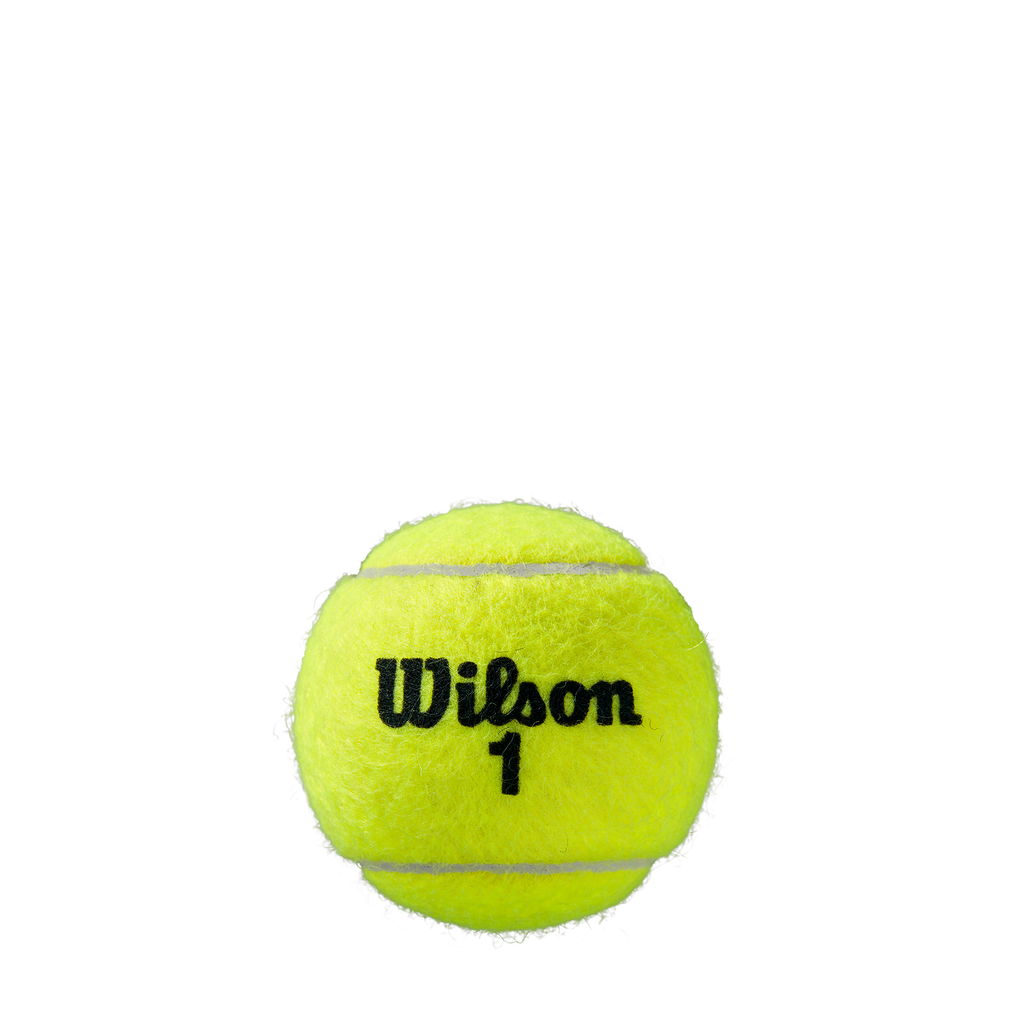 Roland Garros All Court 3 Ball Can