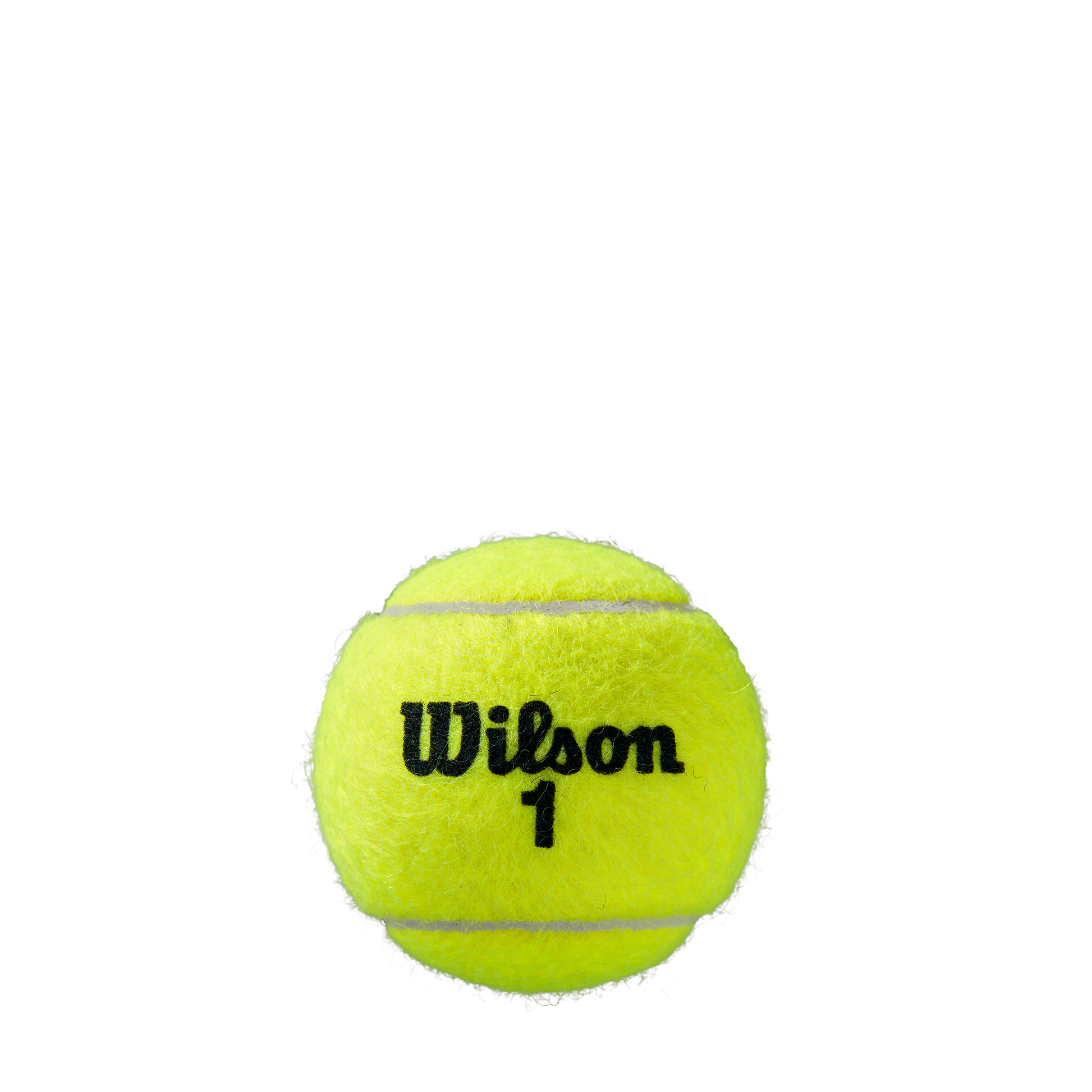 Roland Garros All Court 3 Ball Can