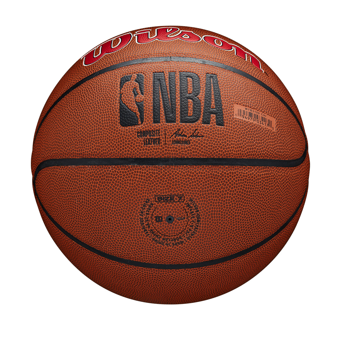 NBA Team Alliance Chicago Bulls 7 Basketball