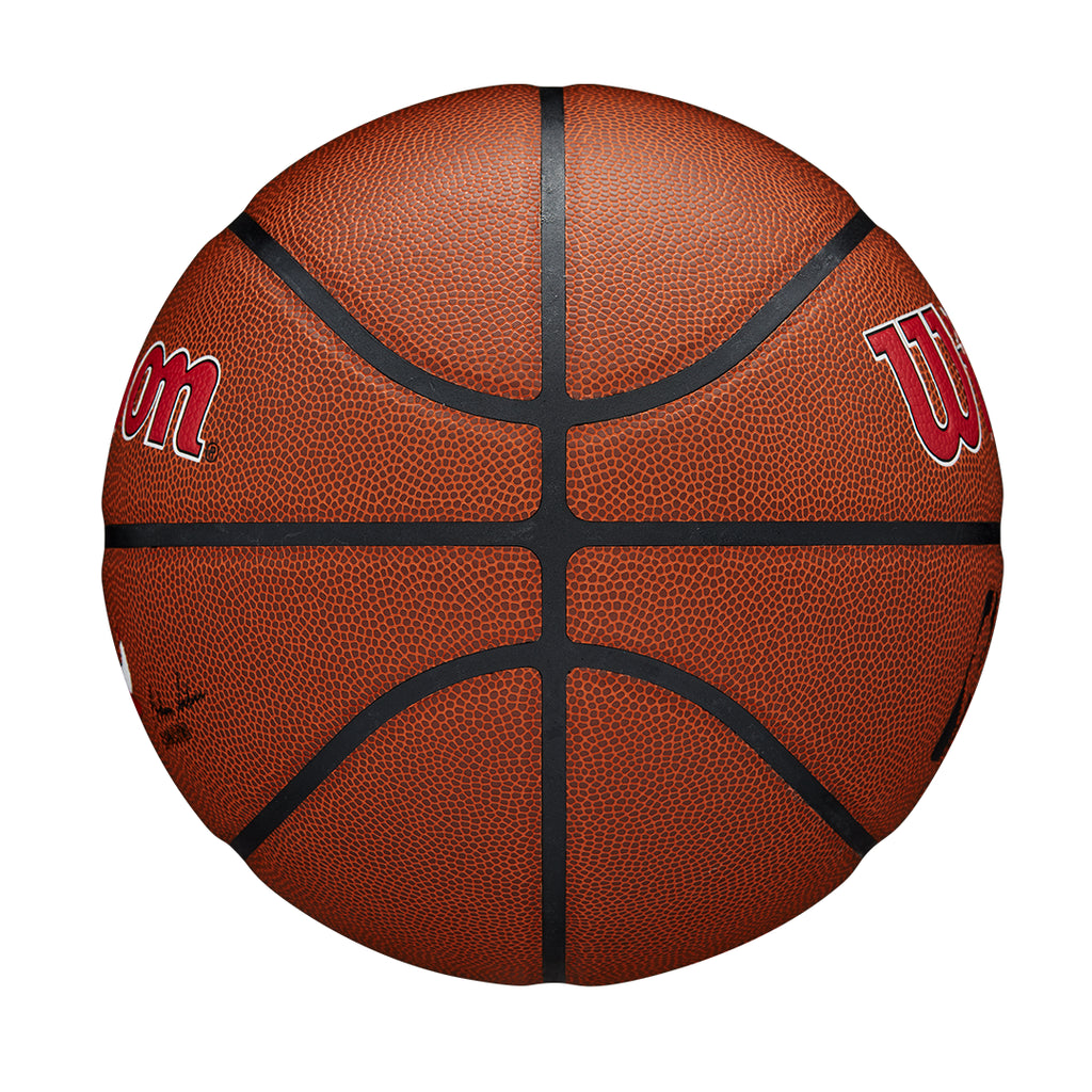 NBA Team Alliance Chicago Bulls 7 Basketball