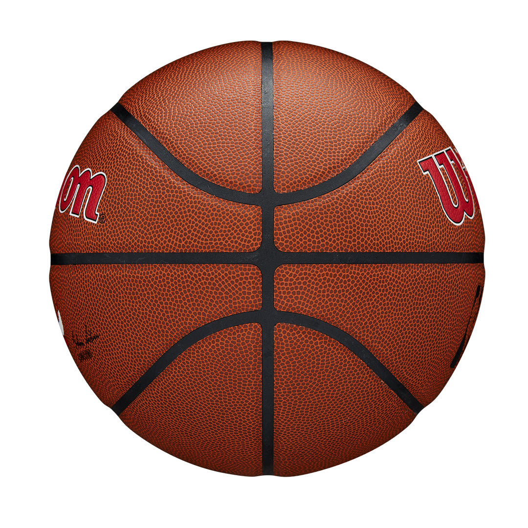 NBA Team Alliance Chicago Bulls 7 Basketball